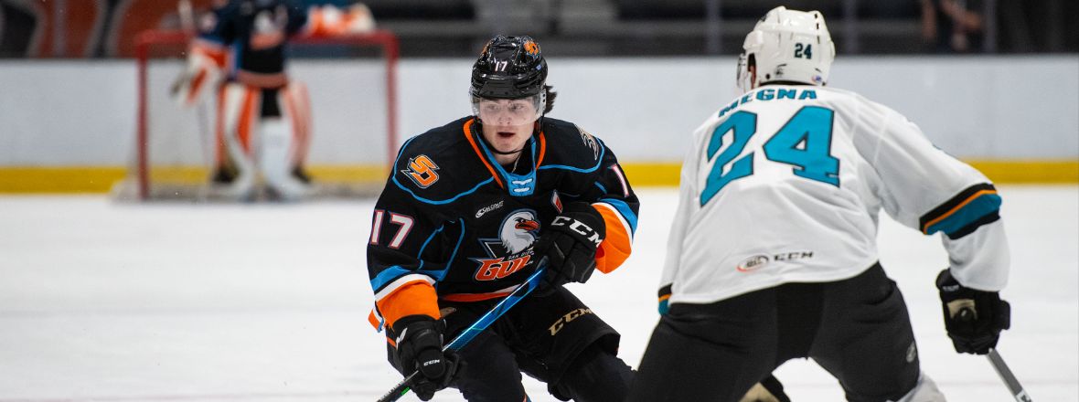 SAN DIEGO GULLS SPECIAL HOCKEY