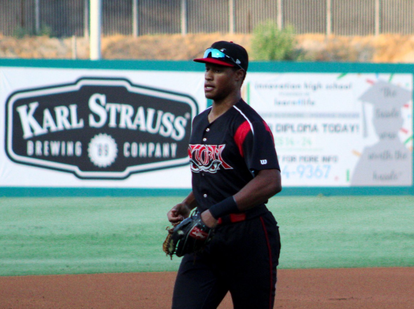 Minor League Baseball on X: #Padres No. 3 prospect Eguy Rosario