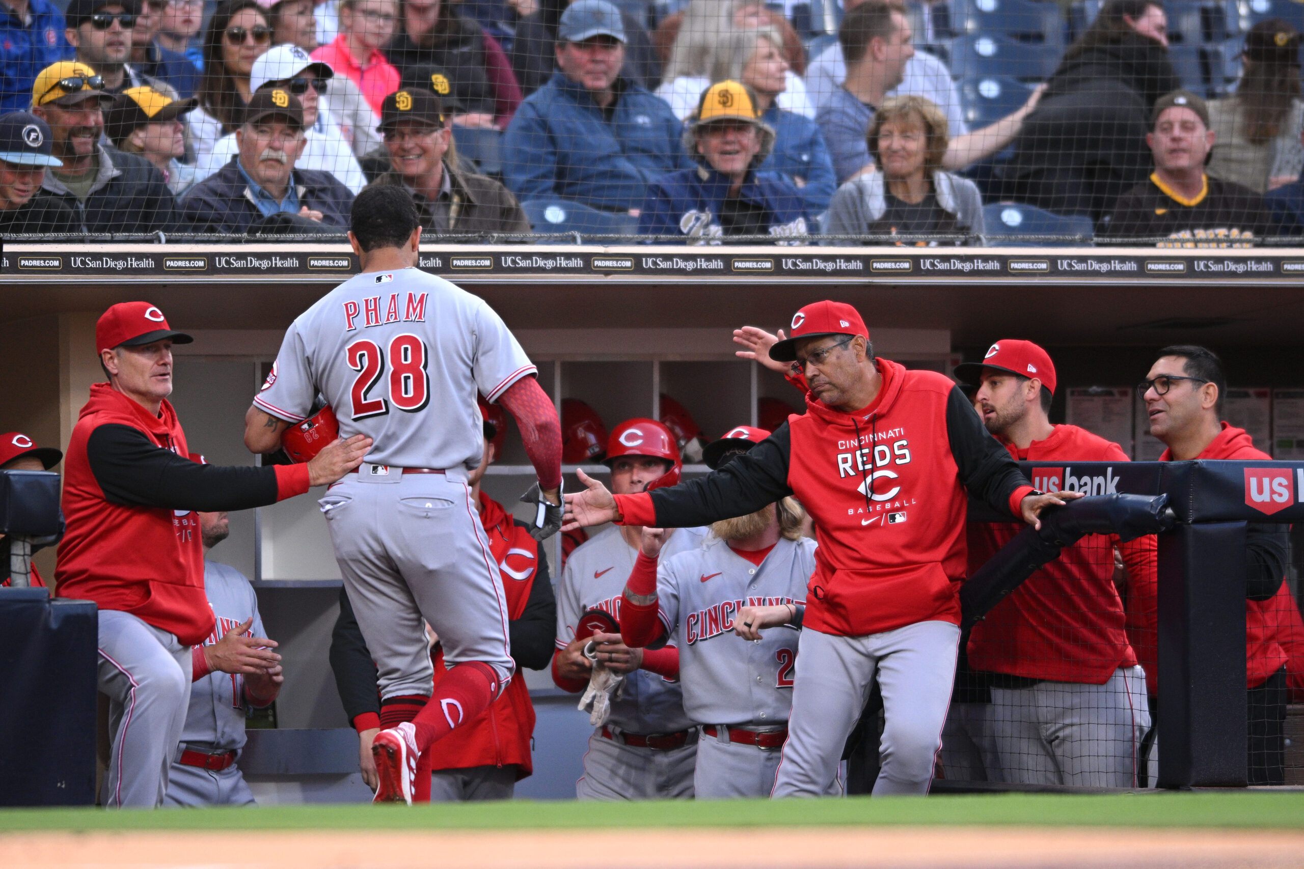 Padres notes: Tommy Pham returns to Petco with Reds - The San Diego  Union-Tribune