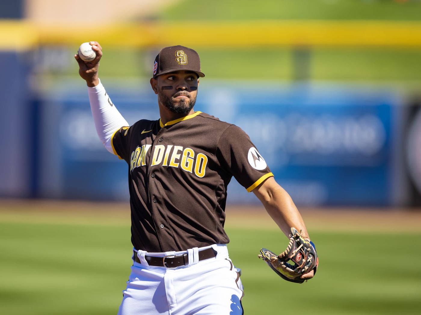 What Can We Expect From 2010 Padres?