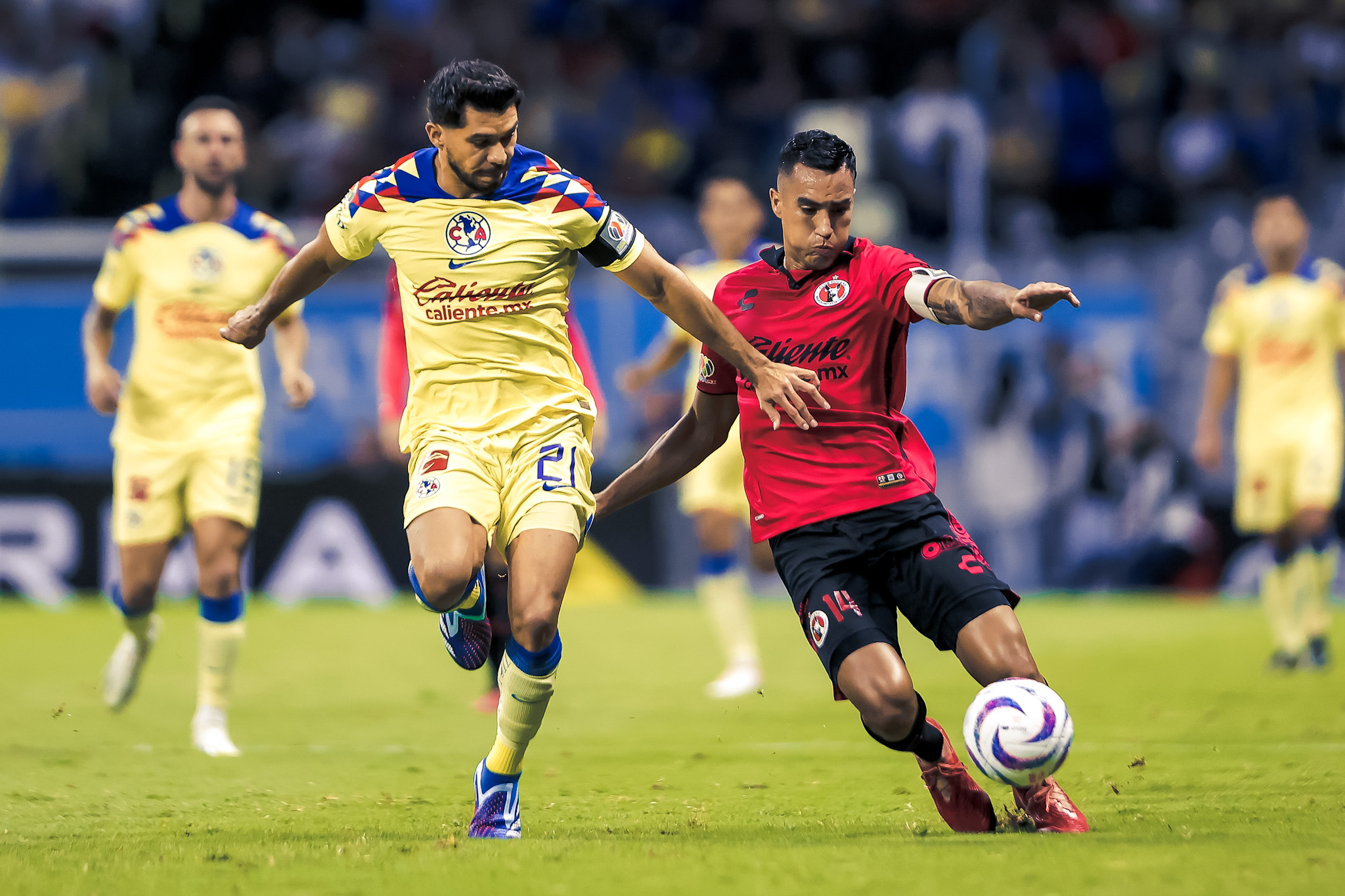 Tijuana Xolos begin 2024 Clausura season against Liga MX Champions