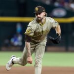 Padres Down on the Farm: July 15 (Morgan, Leclerc rehab in ACL)
