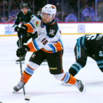 San Diego Gulls pull away late in 4-1 win over Barracuda